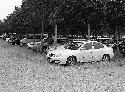 由于停车场已经停满，上百辆私家车停在了小树林里，照样会被收费 摄/法制晚报实习记者 张群琛